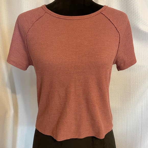 American Eagle mauve short sleeve crop top size medium - Picture 1 of 7